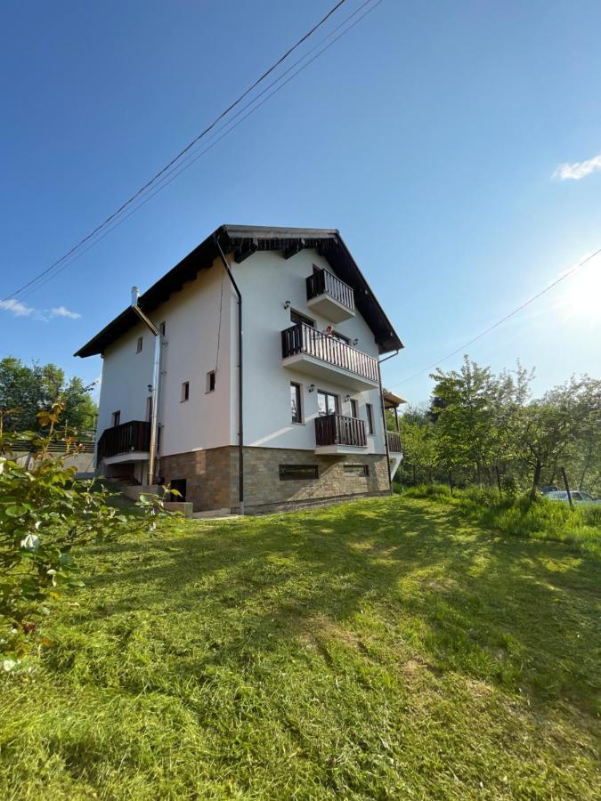 Vila Hojda Hotel Moisei Exterior photo