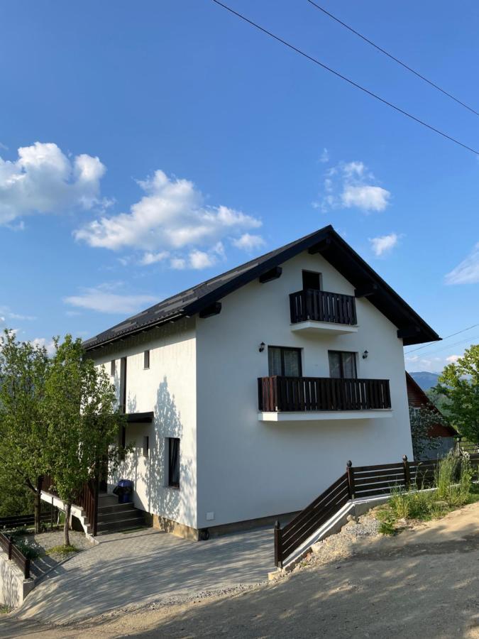 Vila Hojda Hotel Moisei Exterior photo